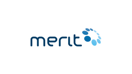 meritconsulting