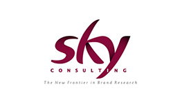 skyconsulting